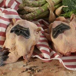 Pigeonneau Bressan
